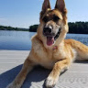 Meet your Posher, Brooke